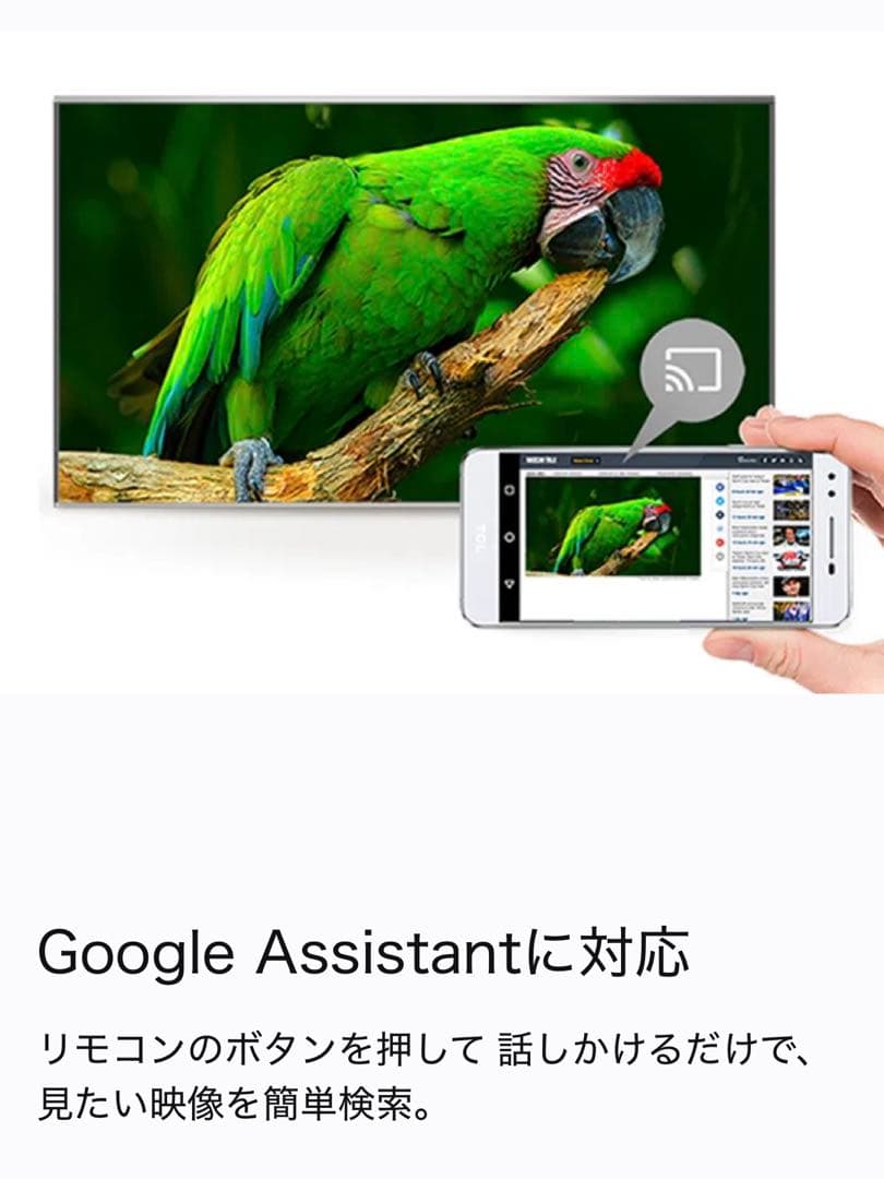 【美品】TCL 4K 55インチ チューナー搭載 Androidスマートテレビ