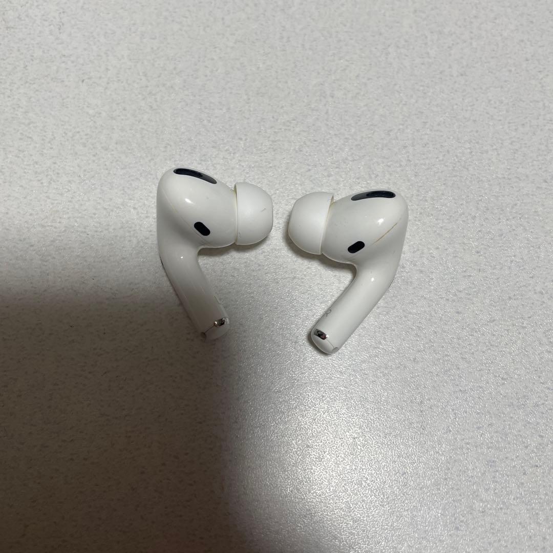 AirPods Pro 第一世代　ノイズキャンセリング　犬