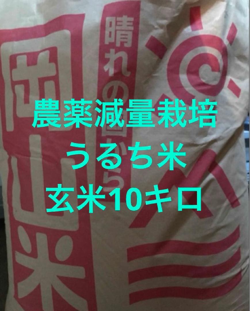 農薬減量使用栽培　令和7年度産うるち米　玄米10キロ