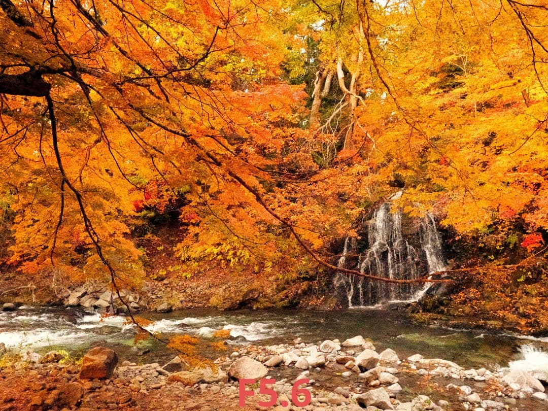 【訳あり動作品】LEICA DG VARIO-ELMARIT 12-60mm