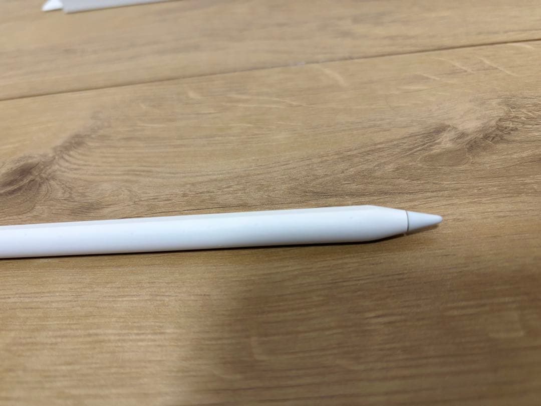 iPadアクセサリー Apple Pencil(USB-C)