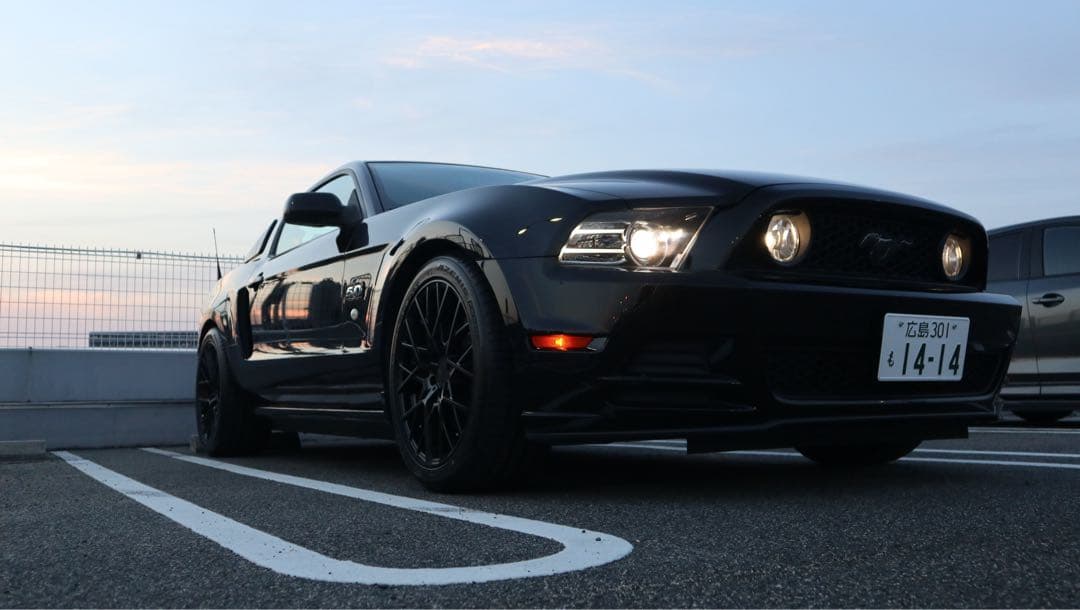 TSW セブリング　マットブラック　19インチ