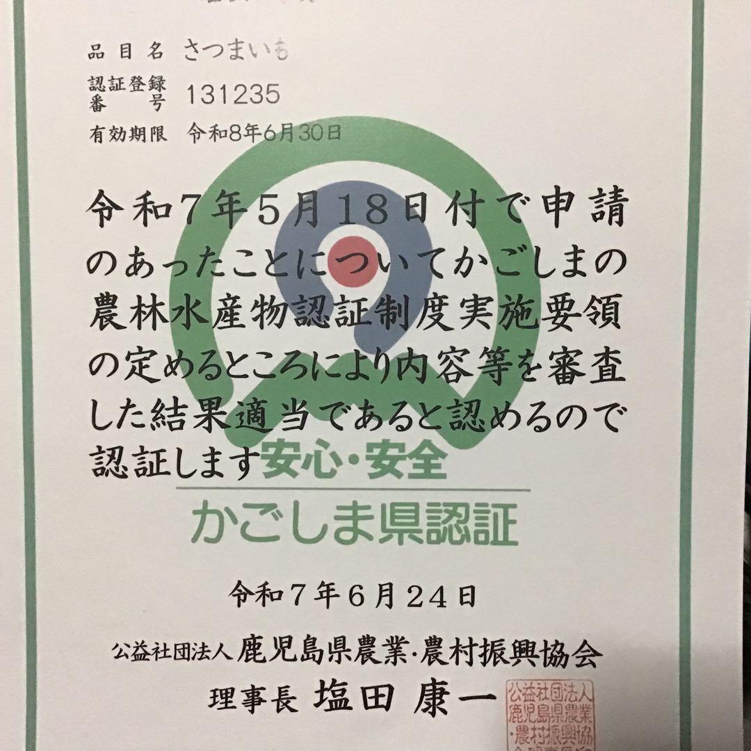 安納芋 どんと20kgさつまいも 種子島産安納芋　MLサイズ #8