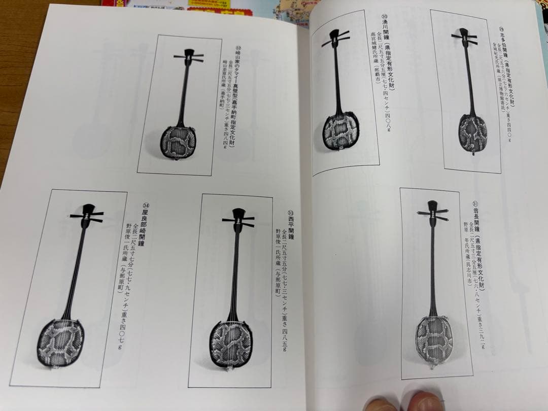 のーりーさん専用　ヘビ柄三線本体　タマイ真壁型