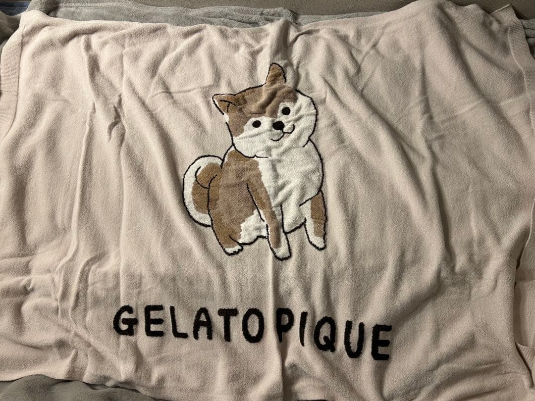 ジェラートピケ 柴犬