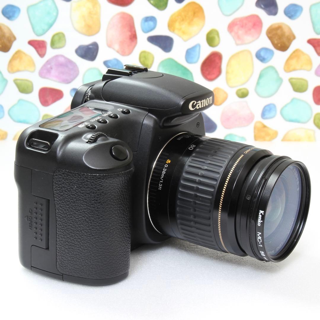 ♥◇Canon EOS 20D ◇おすすめ入門機♪ ◇カメラ選びに迷ったらこれ♪