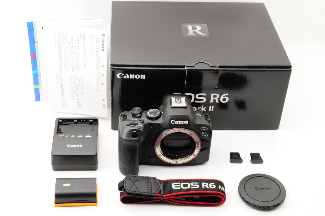 【箱付 美品】 キャノン Canon EOS R6 Mark II ボディ