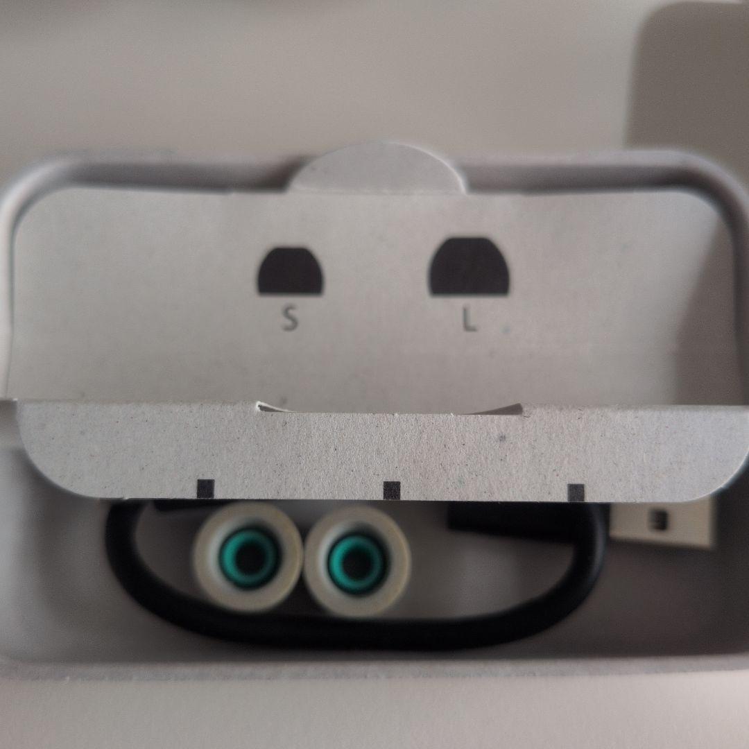 【ジャンク】ソニー WF-1000XM4 ワイヤレスイヤホン イヤフォン