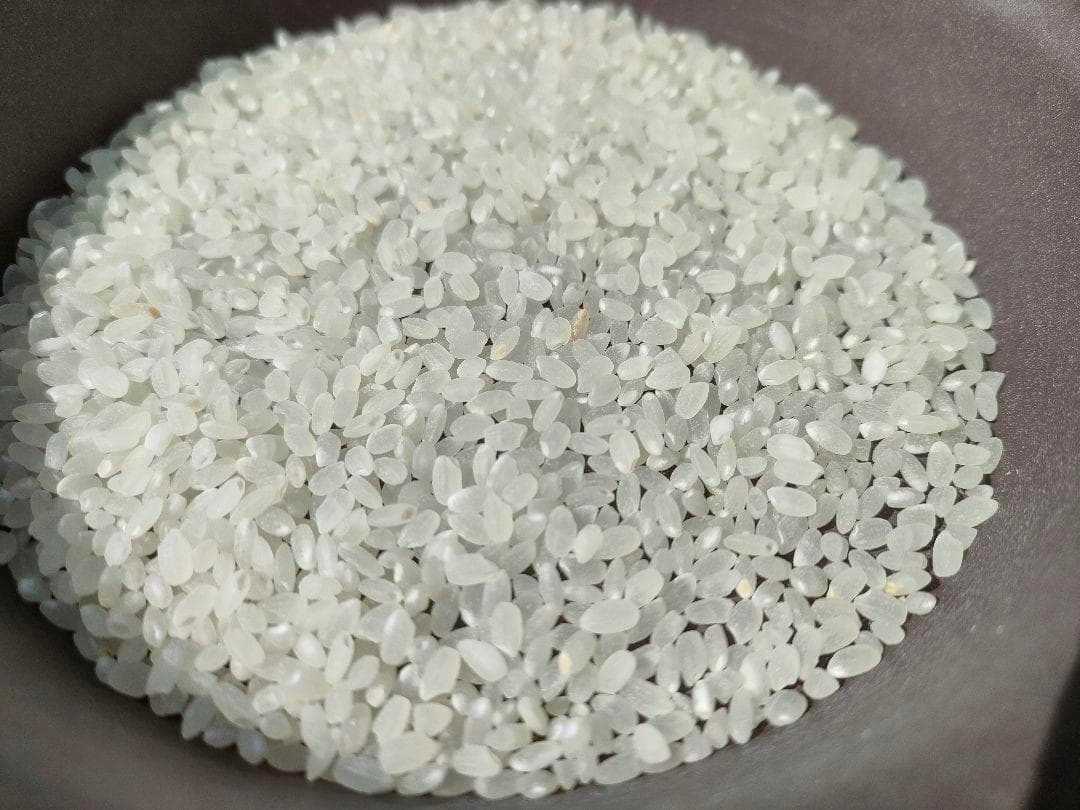 令和７年度兵庫県産 ヒノヒカリ 玄米30kg※精米可 本州・四国・九州は送料無料