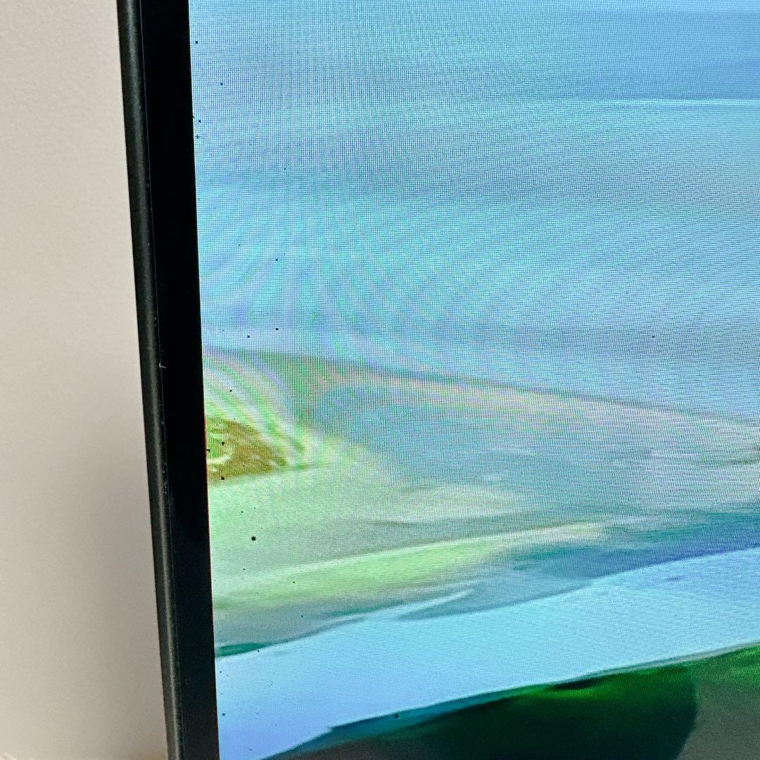 LG　エルジー　有機ELテレビ　48型　OLED48CXPJA