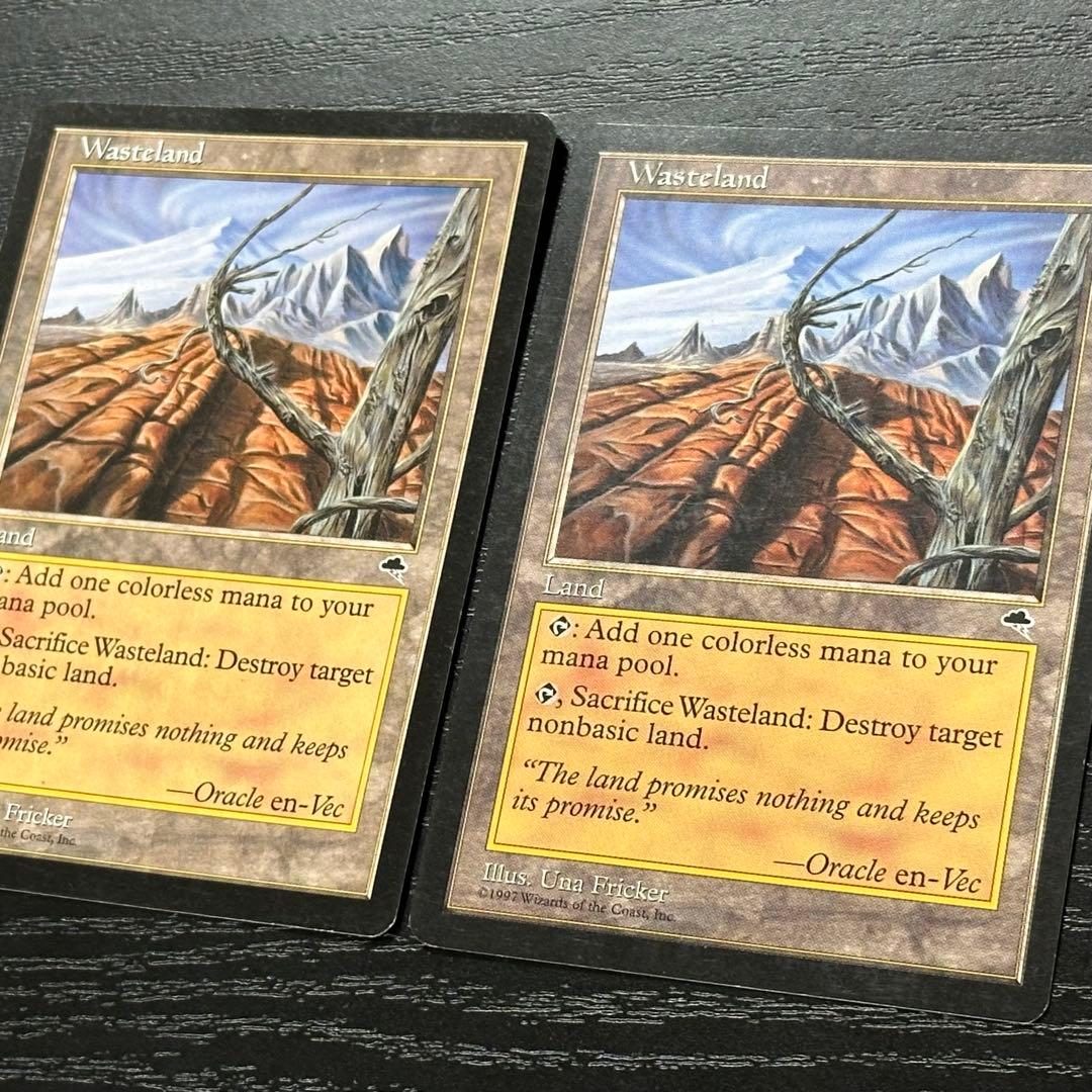 MTG 不毛の大地 英語 初版 2枚