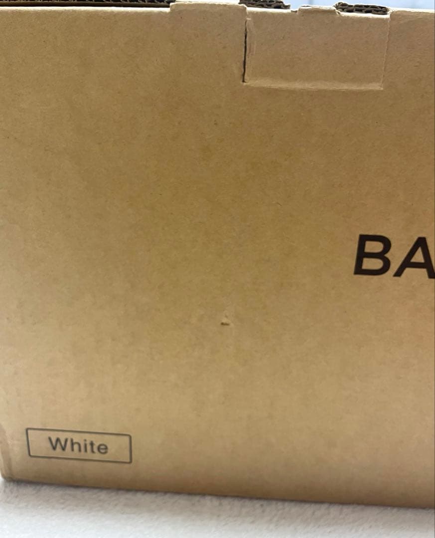 BALMUDA The Cleaner スティッククリーナー 【新品未使用品】