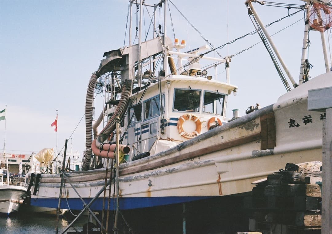 【動作品】Canon AE-1Program＋NEW FD 50mm f1.8