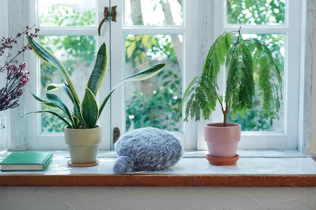 Petit Qoobo（プチ・クーボ） (グリ（灰）) ユカイ工学 クッション