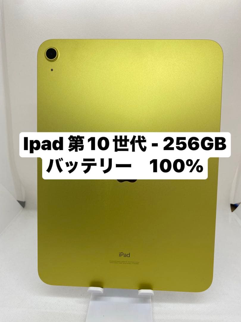 iPad 第10世代 256GB 459GJ