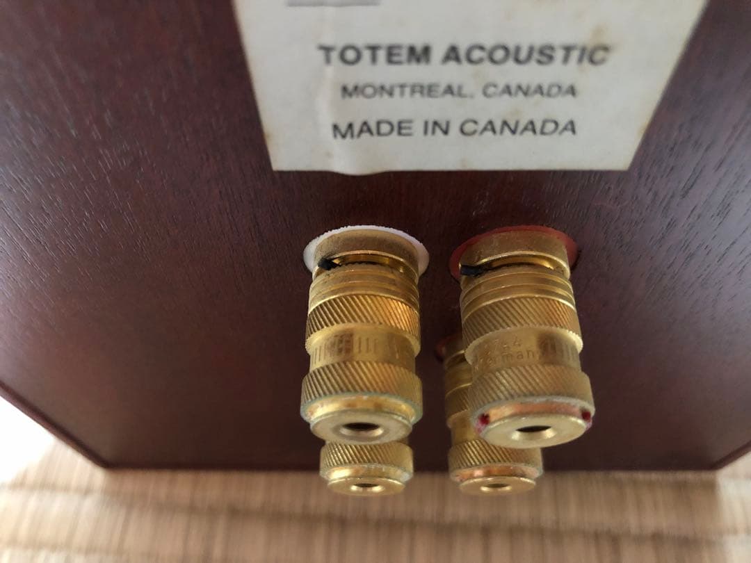 TOTEM ACOUSTIC MODEL1 スピーカー