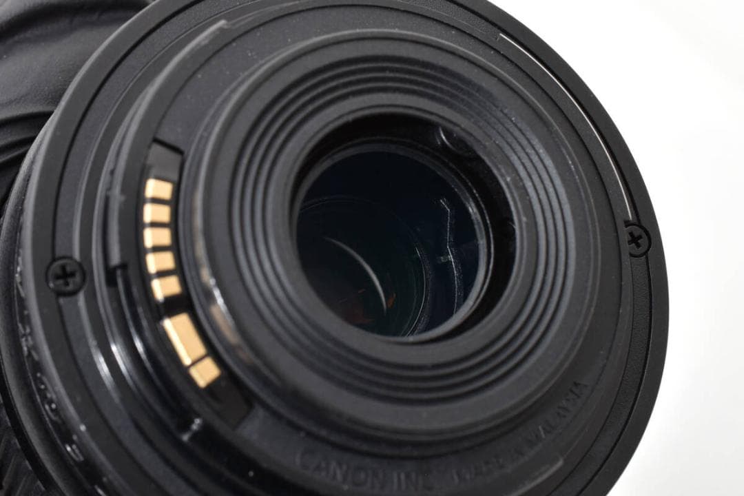 ★極美品★ EF-S 55-250mm F4-5.6 IS STM #734T