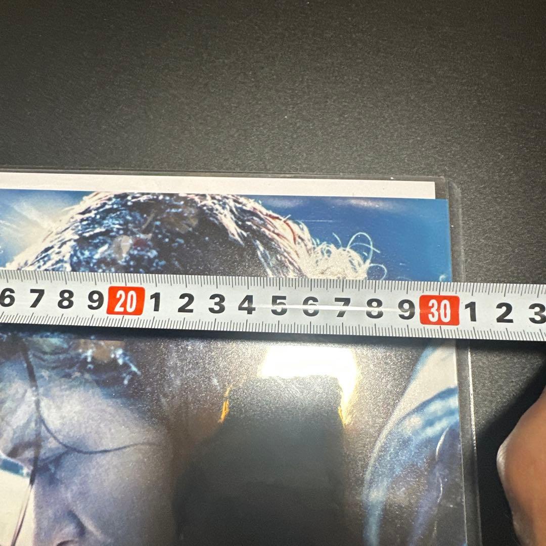 タイタニック　サイン入り　写真　レオナルド・ディカプリオ　ケイト・ウィンスレッド