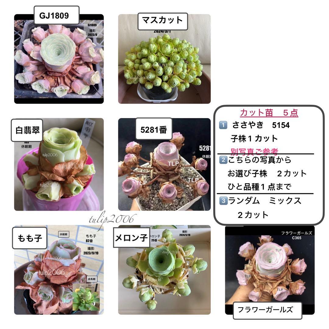 くまさん様 リクエスト 3点 まとめ商品