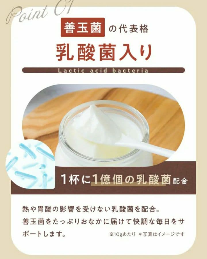 ダイエットココア GRACELL 5袋　超お得セット/酵素乳酸菌プロテイン