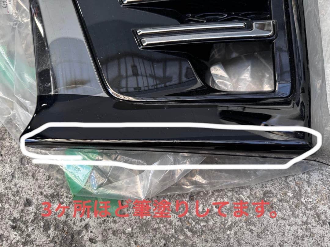 ヴェルファイア 後期 フォグカバー　 左右セット　メッキの所202で塗ってます