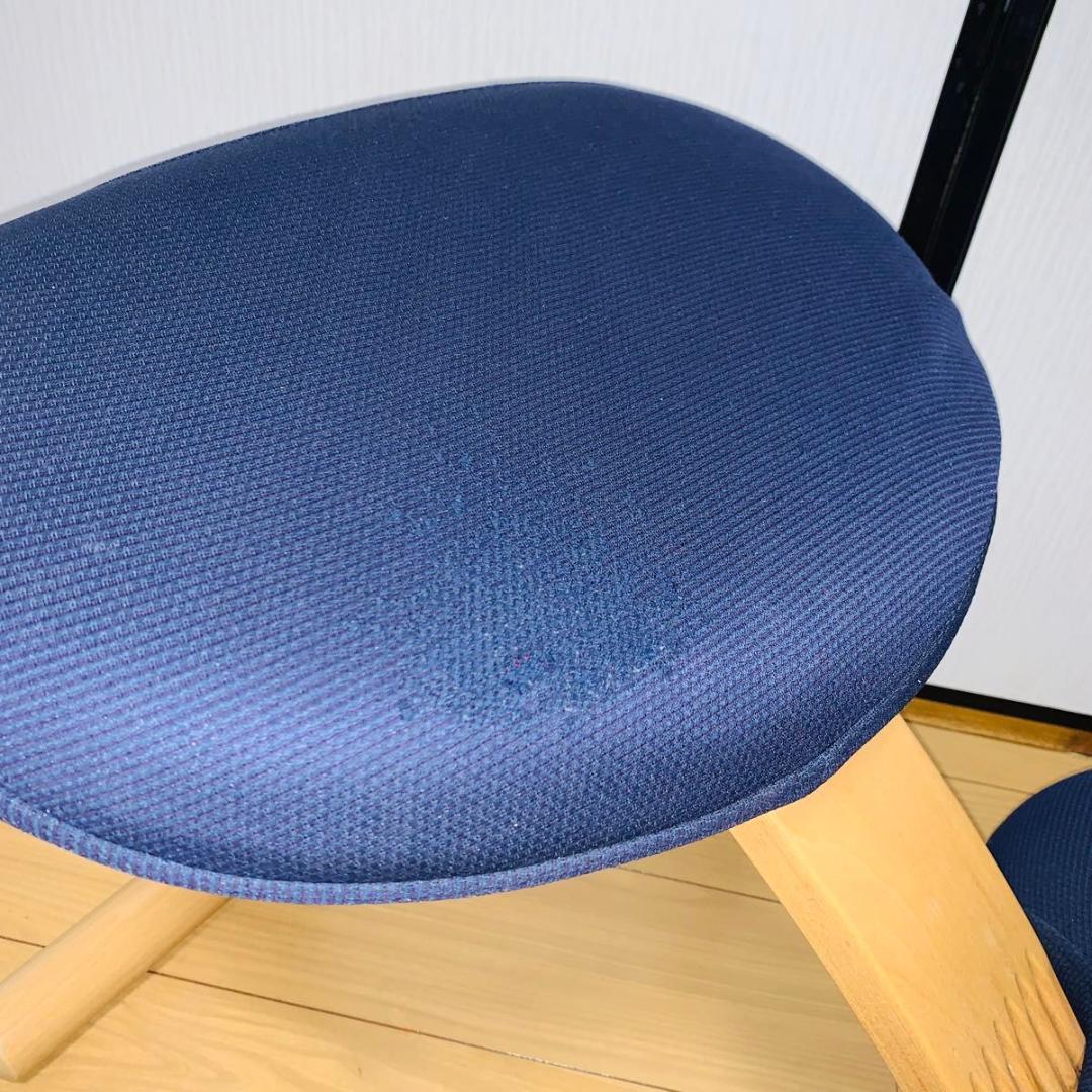 バランスチェア バランスイージー リボ社 バランスチェア バランスチェア