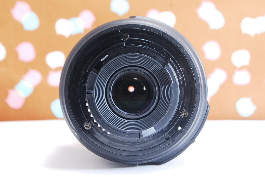 ✨初心者オススメ✨ショット数1205回✨Nikon D70s レンズセット