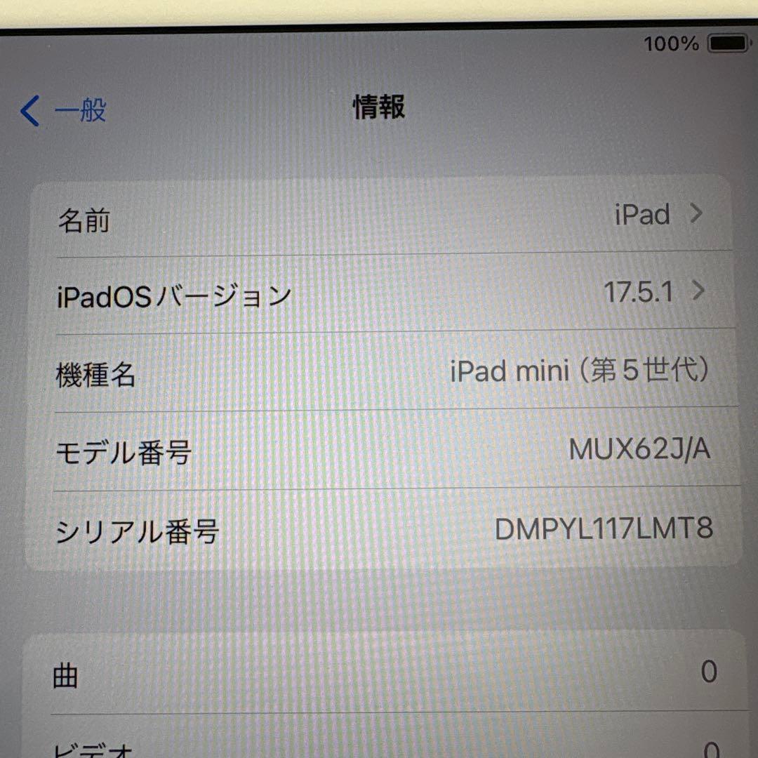 iPad mini5 Wi-Fi+Cellularモデル 64GB SIMフリー