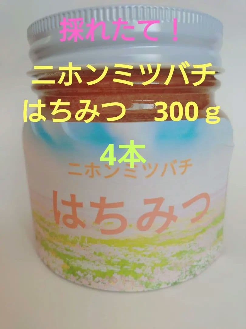 【超希少】採れたて！ニホンミツバチ　ハチミツ　信州産　非加熱　300ｇ✕4