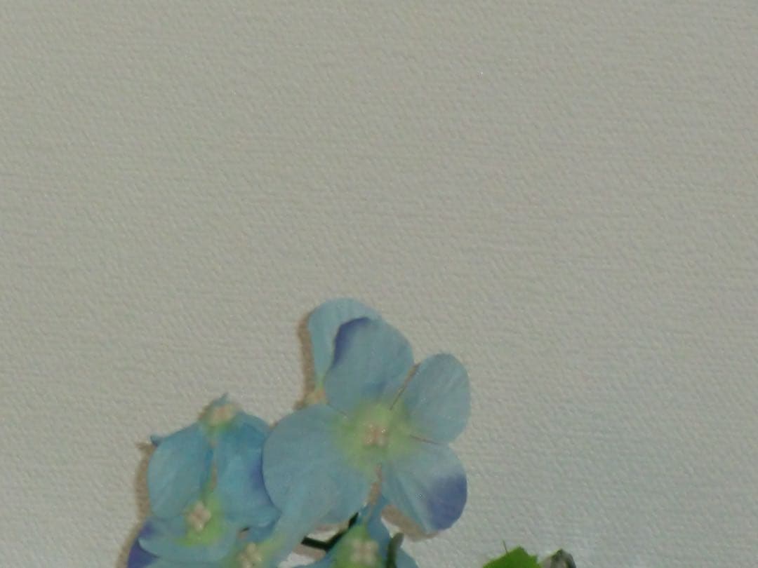 CASIO カメラ　エクシリム　EX-H10 シルバー コンデジ　動作品