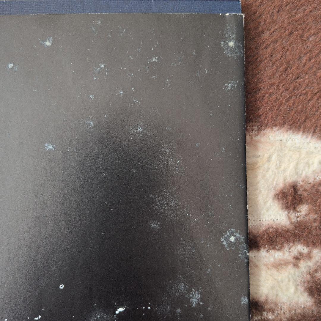 THE BLACK CROWES「By Your Side」