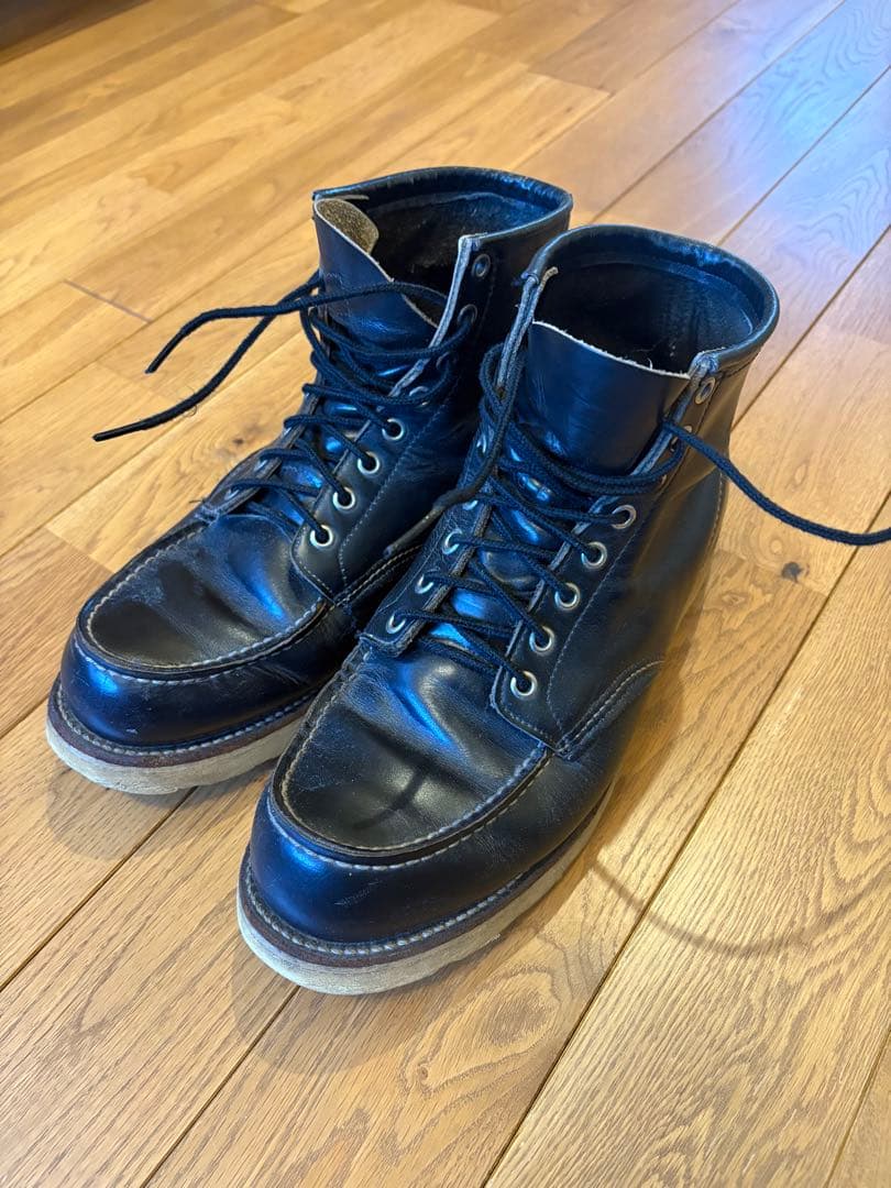 A*A様 RED WINGアイリッシュセッター