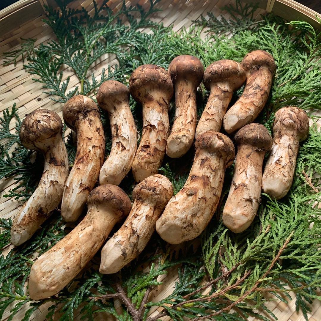 【岩手県産天然松茸】100g×3袋　松茸ご飯土瓶蒸し用　300g 産地直送お手軽