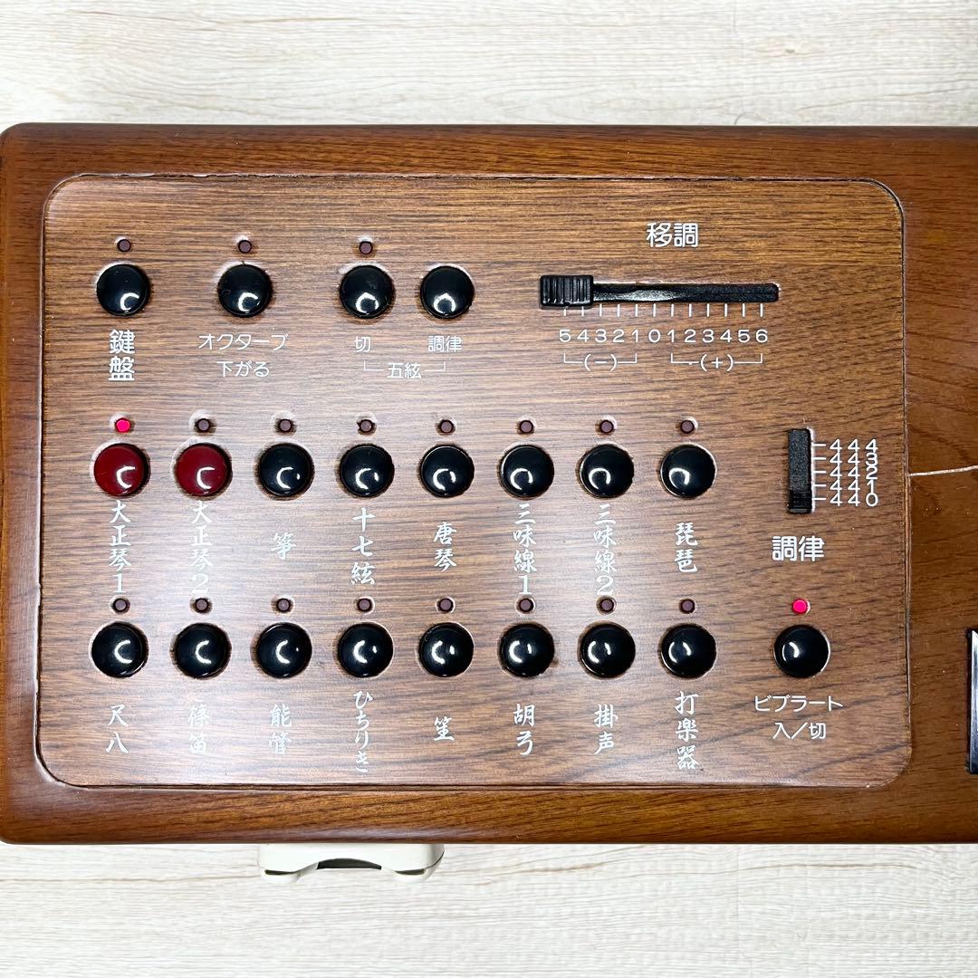 稼働品 SUZUKI 大正琴TES-100 専用ハードケース付