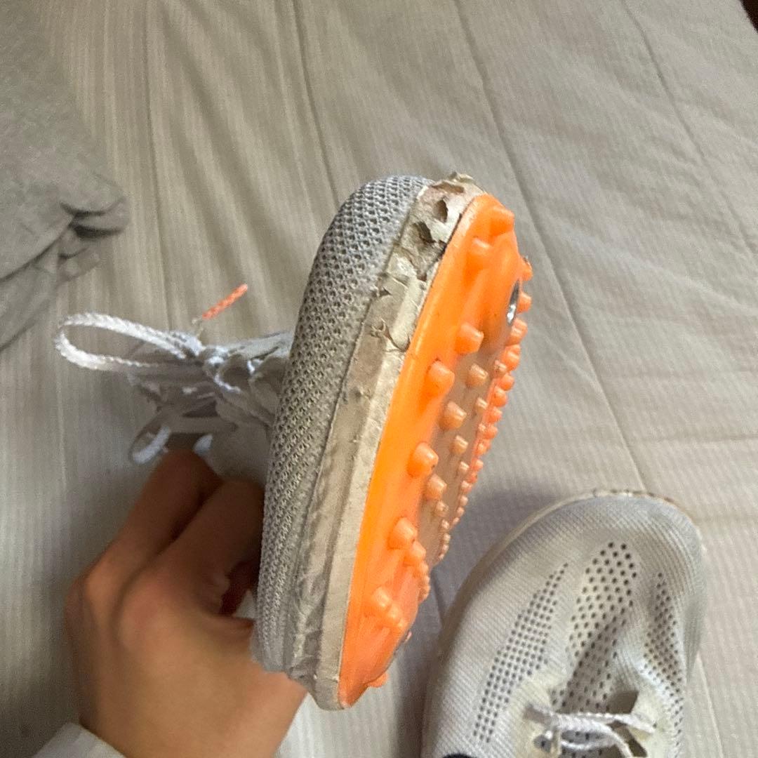 ドラゴンフライ2.ヴェイパーフライ4