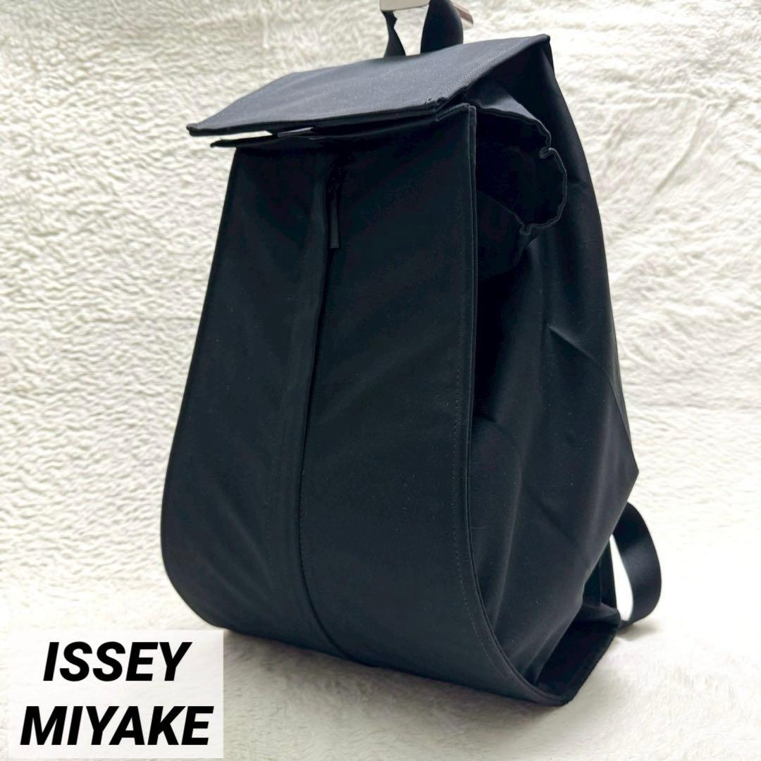 レア✨ イッセイミヤケ CHOCHIN チョウチン バックパック 黒 大容量