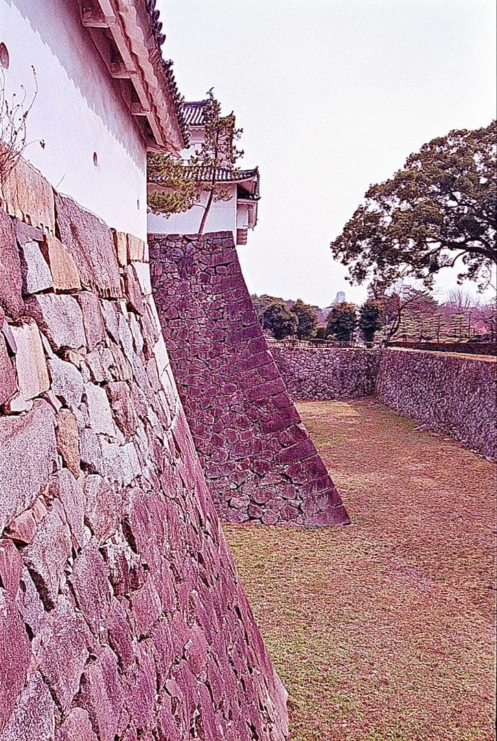 nikon fg35mmフィルムカメラ(断捨離中)