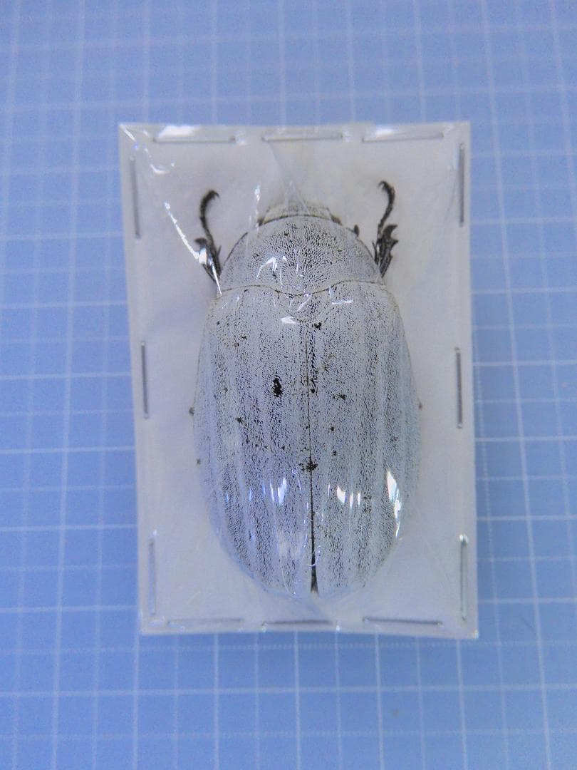 テオドシア様 リクエスト 3点 まとめ商品