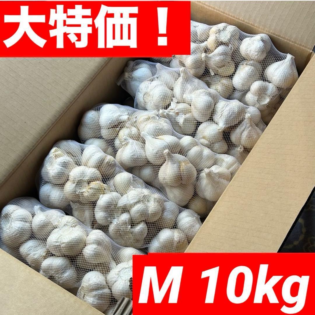 【大特価】青森県 福地ホワイト にんにく M 10kg 加工 タネ 家庭用