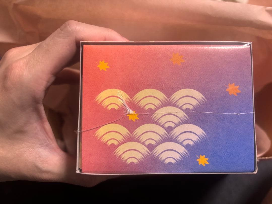 新品未開封　ポケモンセンター ヒロシマ スペシャルBOX ポケモンカード