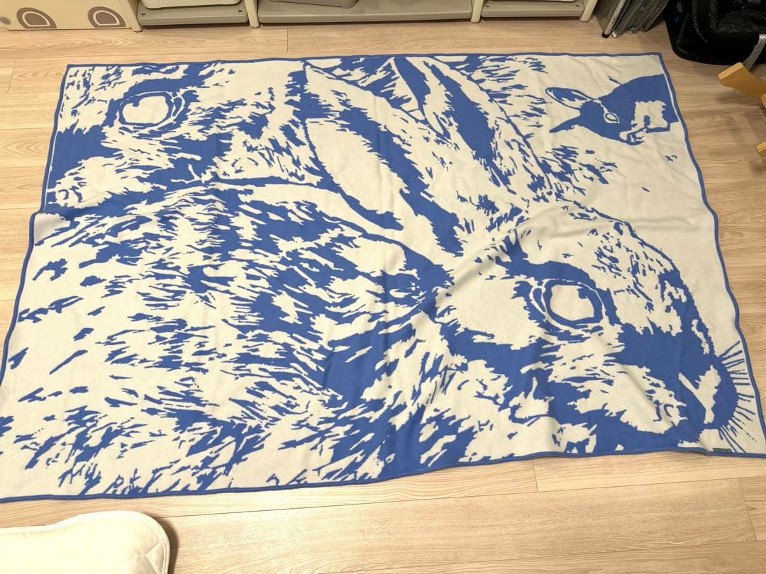 リシャールミル　ノベルティ　ブランケット