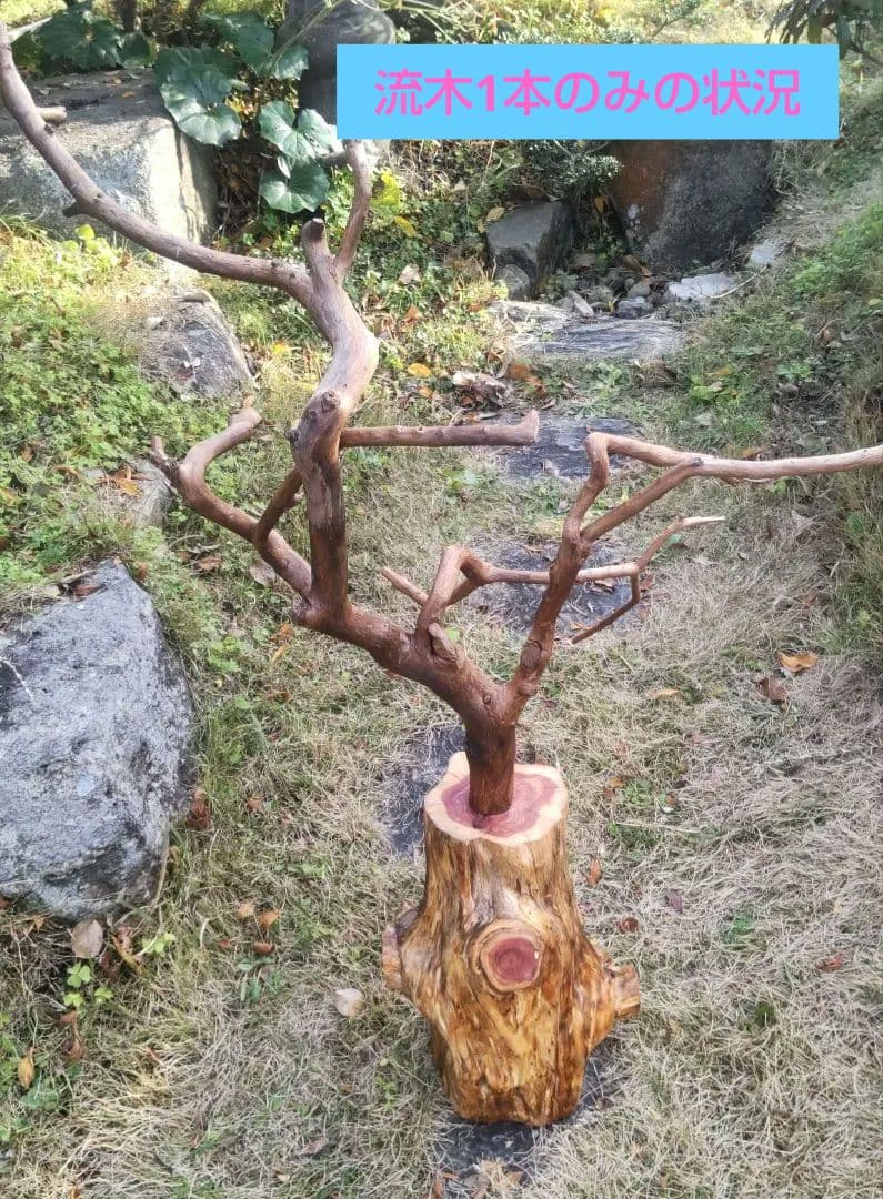 バードアスレチック　鳥用止まり木