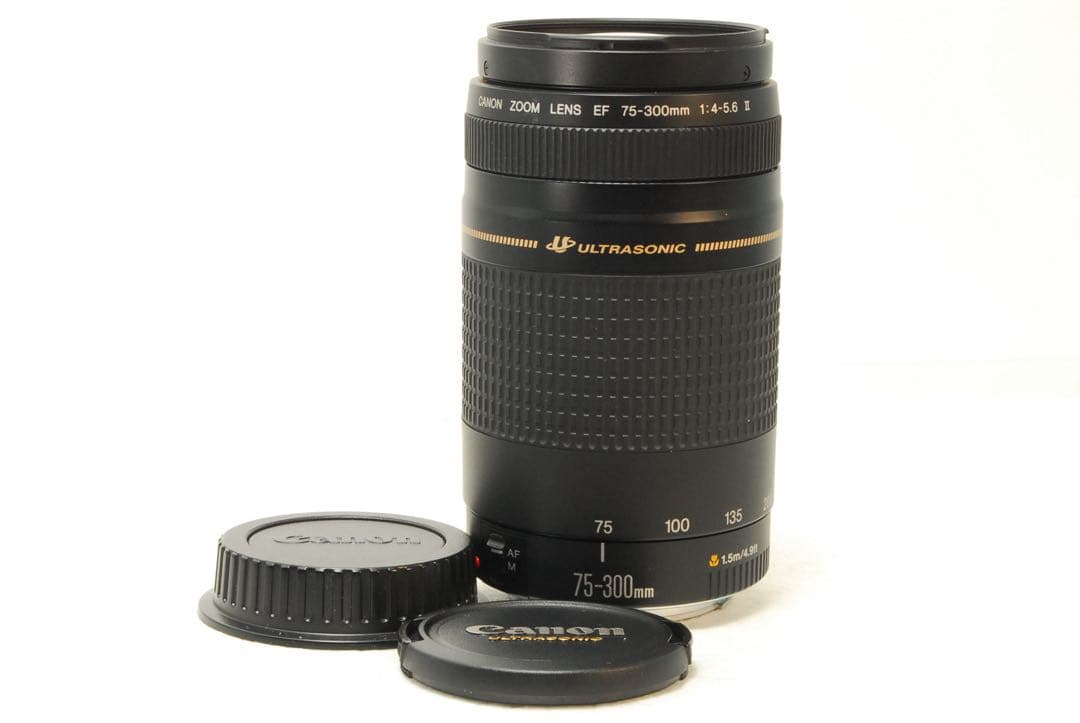 Canon EOS Kiss X10 ❤️超望遠300mm ダブルレンズ キヤノン