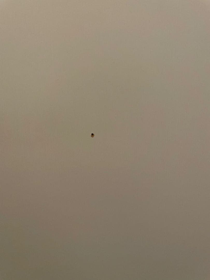 ニトリ　マルチタンス　（クエストT 100MT WH）　洋服タンス　クローゼット