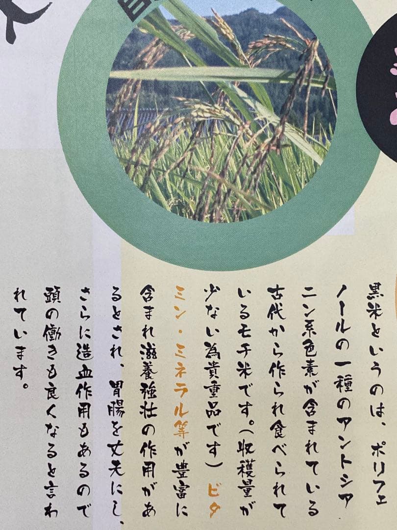 7年度愛知県産 黒米 10Kg