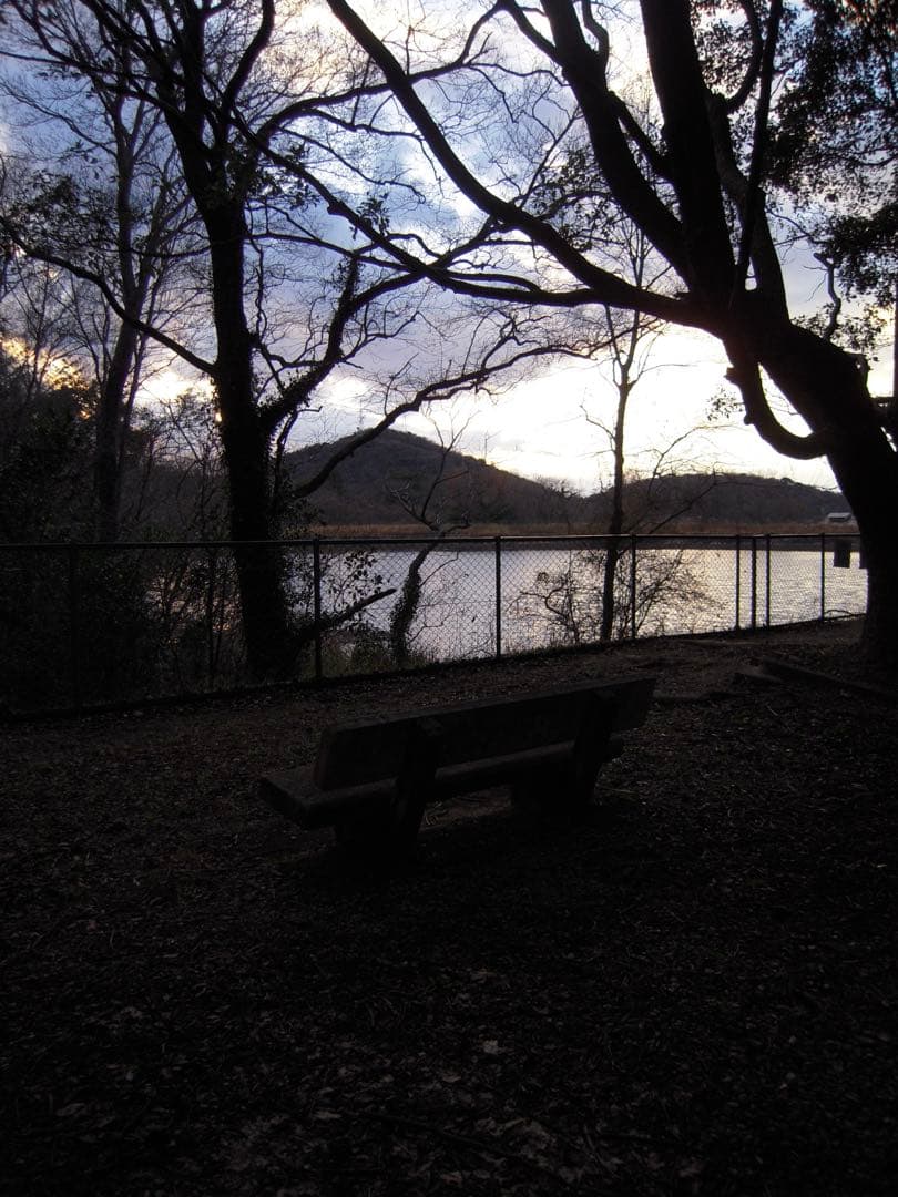 動作確認済み Nikon COOLPIX S600 デジタルカメラ