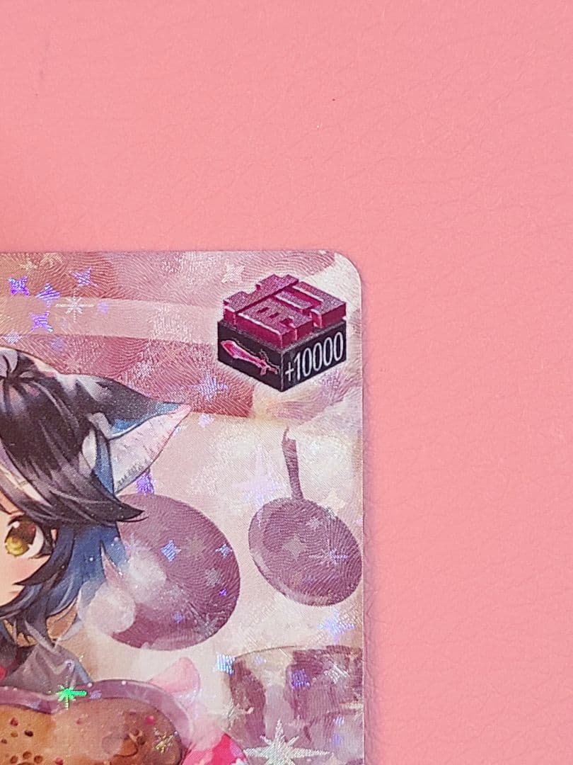 ヴァンガード スノウスキップ パルヴィ LSR