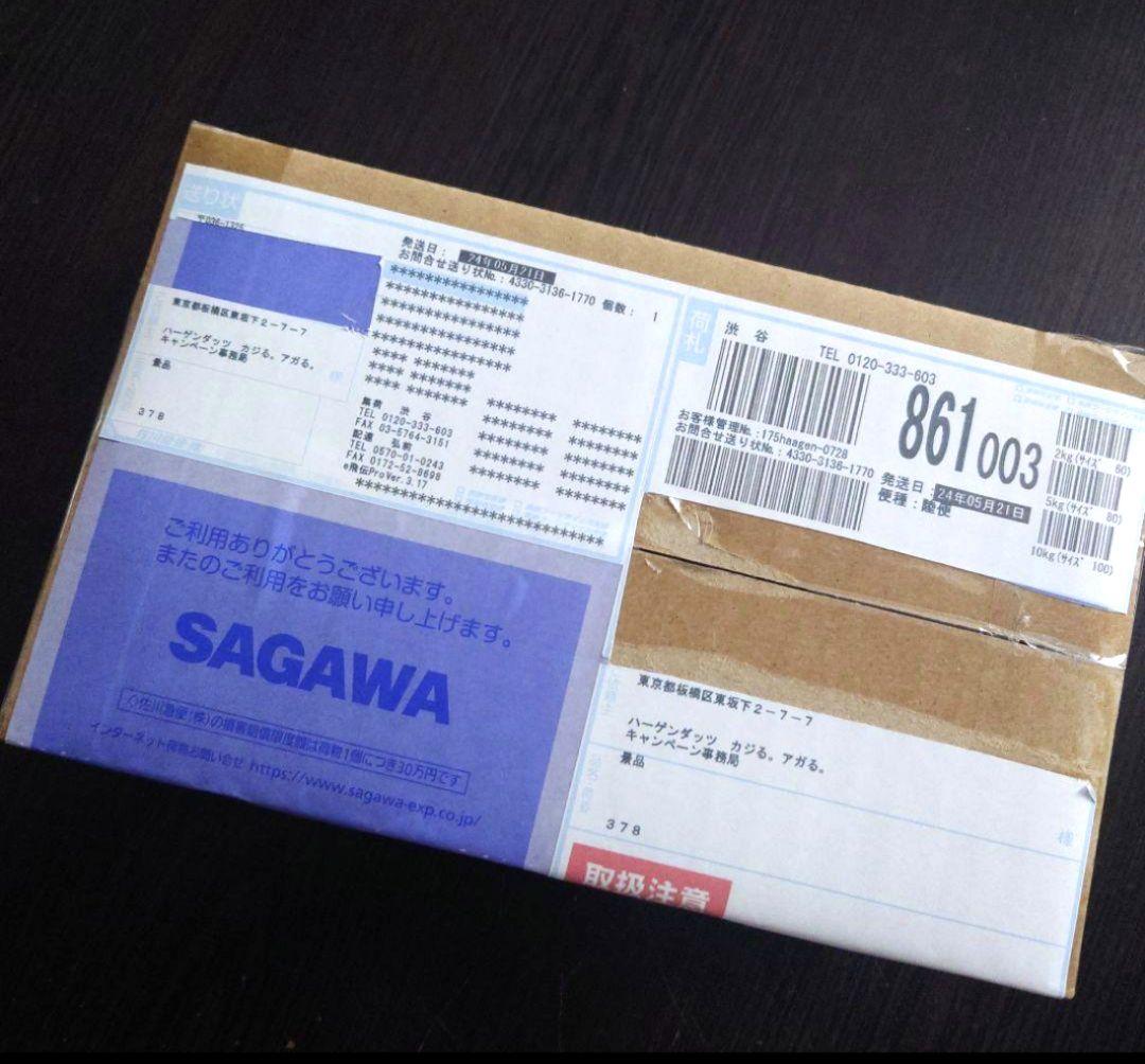 新品　未開封　ハーゲンダッツ　ワイヤレスイヤホン　AVIOT TE-Q3　佐藤健