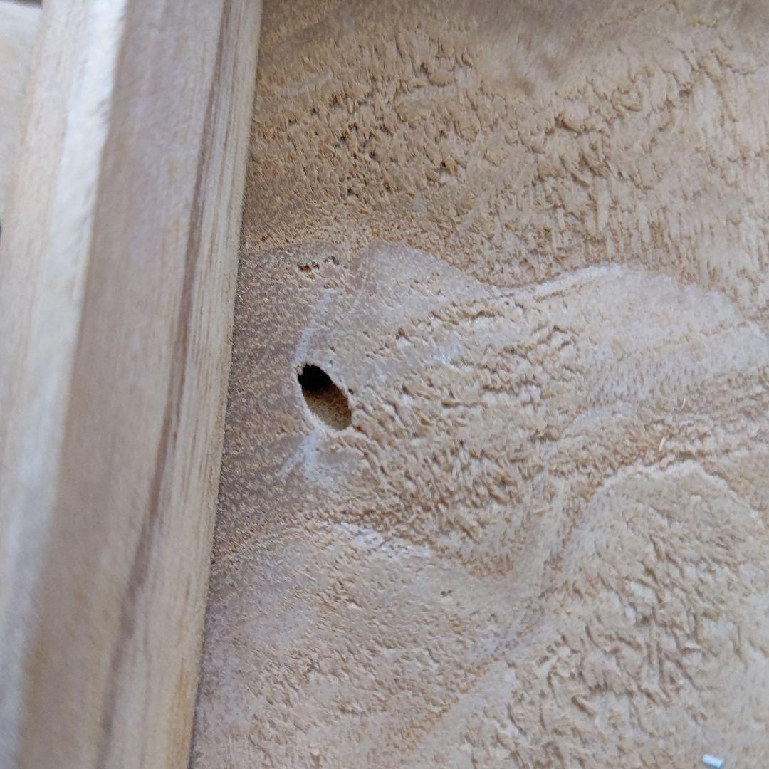 青貝 銀杏 香合 源 陵香(政男) 茶道具