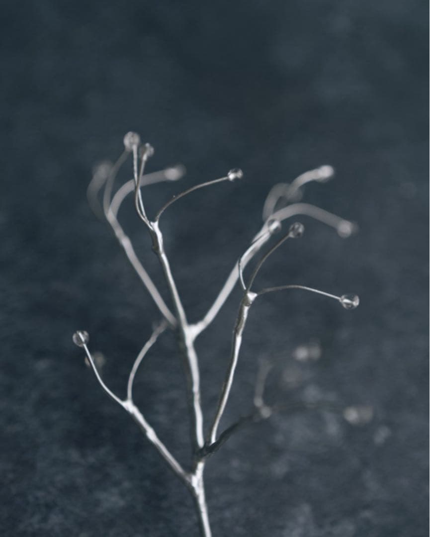 インスタ作家 mone morigaki 壁掛けフレーム bloom ／シルバー